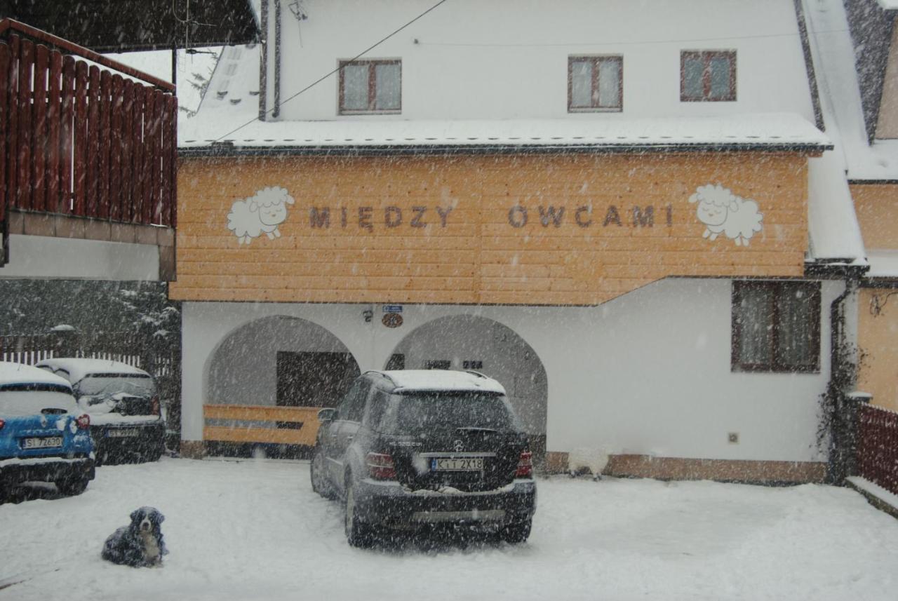 Апартаменты Miedzy Owcami Сромовце-Выжне Экстерьер фото