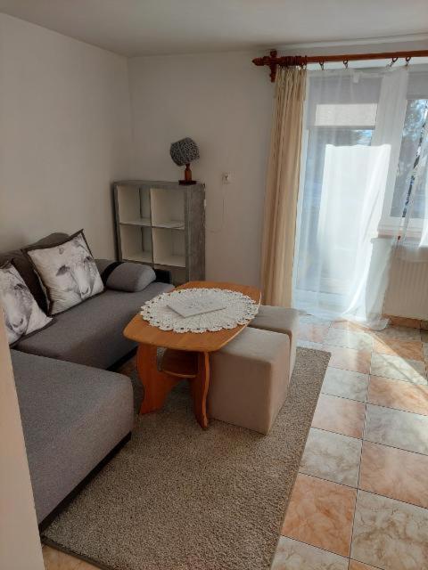 Апартаменты Miedzy Owcami Сромовце-Выжне Экстерьер фото